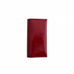 975 etui za robcke s