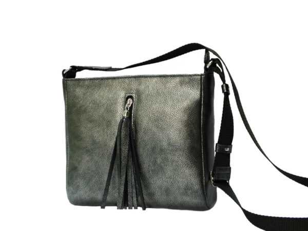 895 gray naslovna