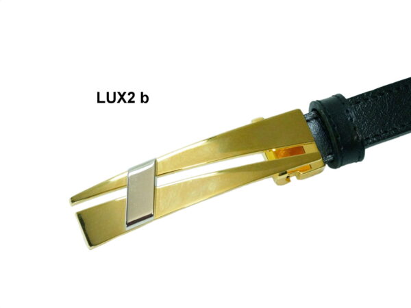 LUX2 b LUX2 b